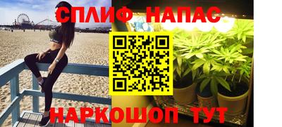 spice Славгород