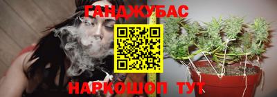 ГАЛЛЮЦИНОГЕННЫЕ ГРИБЫ Сланцы