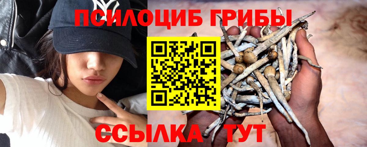 Галлюциногенные грибы мухоморы  Вход с VPN  Амурск 